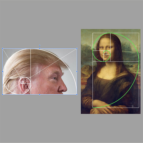 עדו לביא - my phototelling עדו לביא - my phototelling